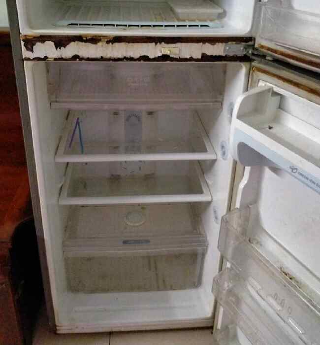 Tủ lạnh bị gỉ sét ngăn dưới