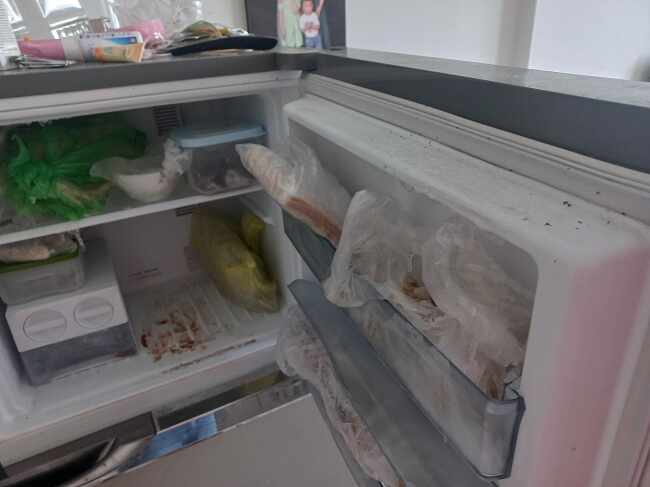 Tủ lạnh bị hở gioăng côn trùng vào