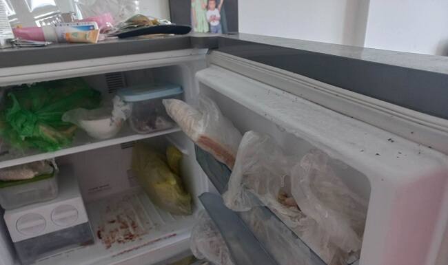 Tủ lạnh hở gioăng trên ngăn đông côn trùng vào