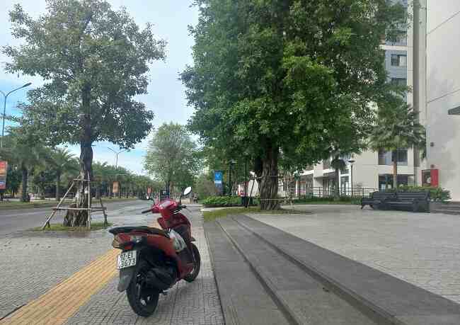 Mua tủ lạnh ở chung cư mastery phường Thảo Điền quận 2