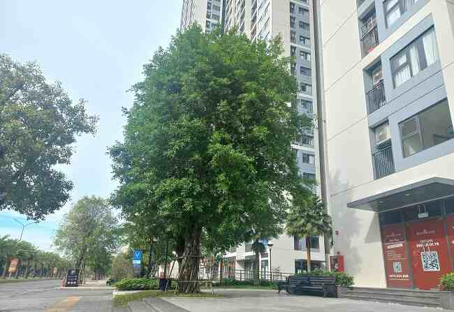 Nhân viên đi thu mua tủ lạnh ở quận 9